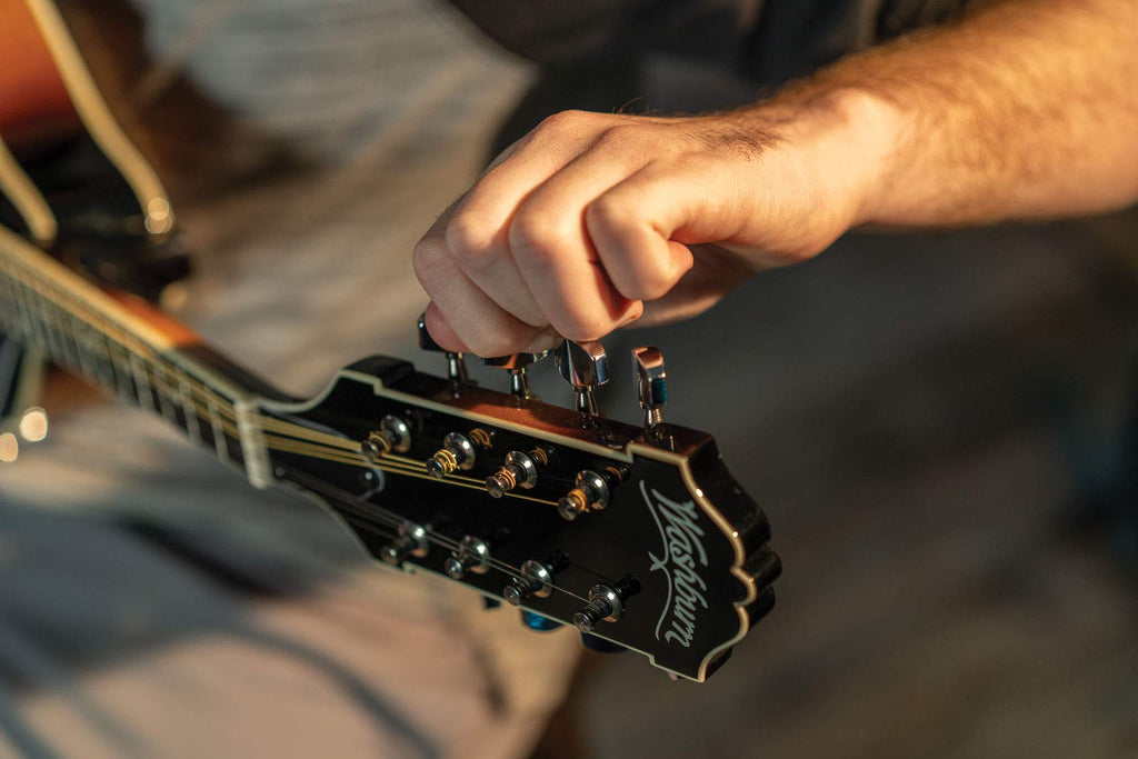 Mandolin P127530
