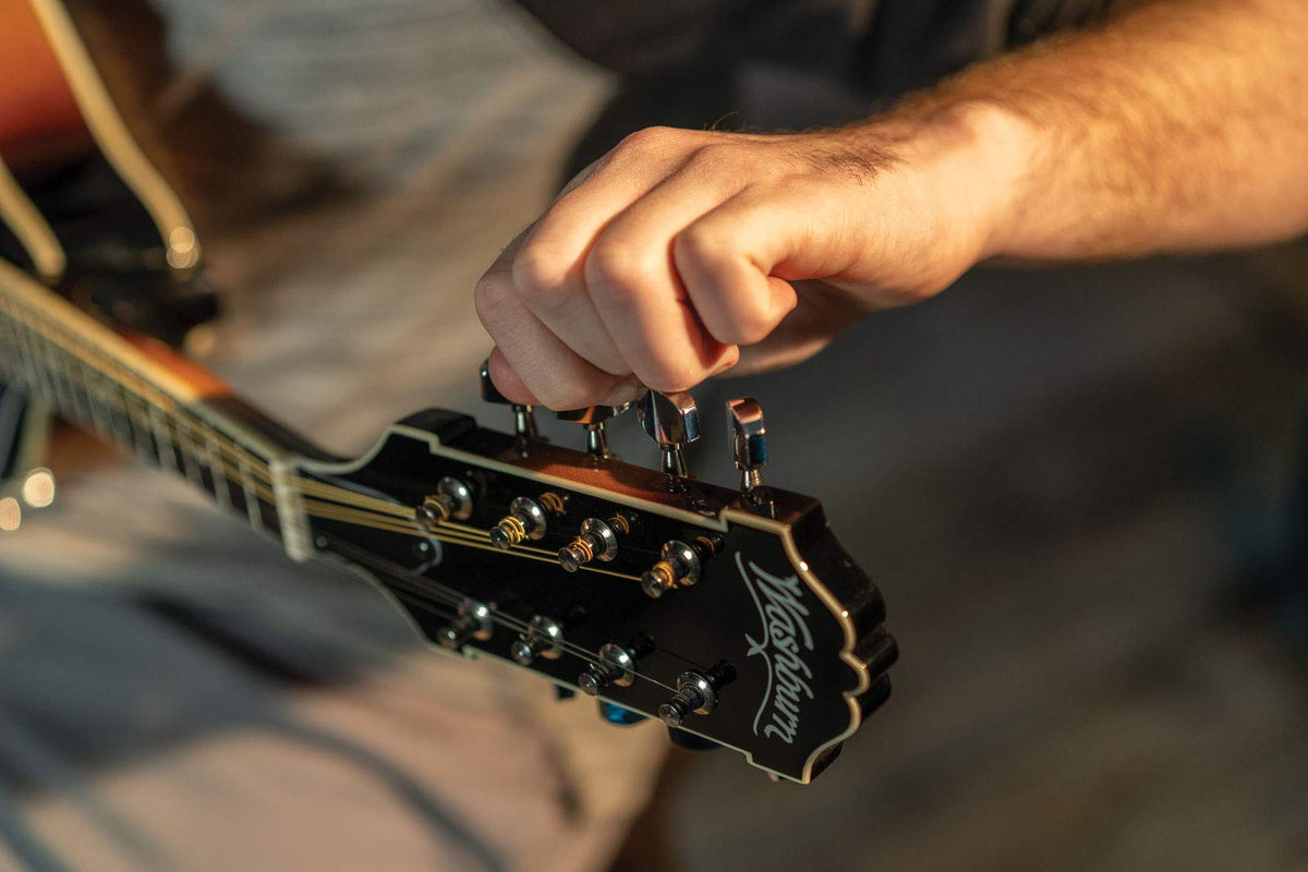 Mandolin P127530