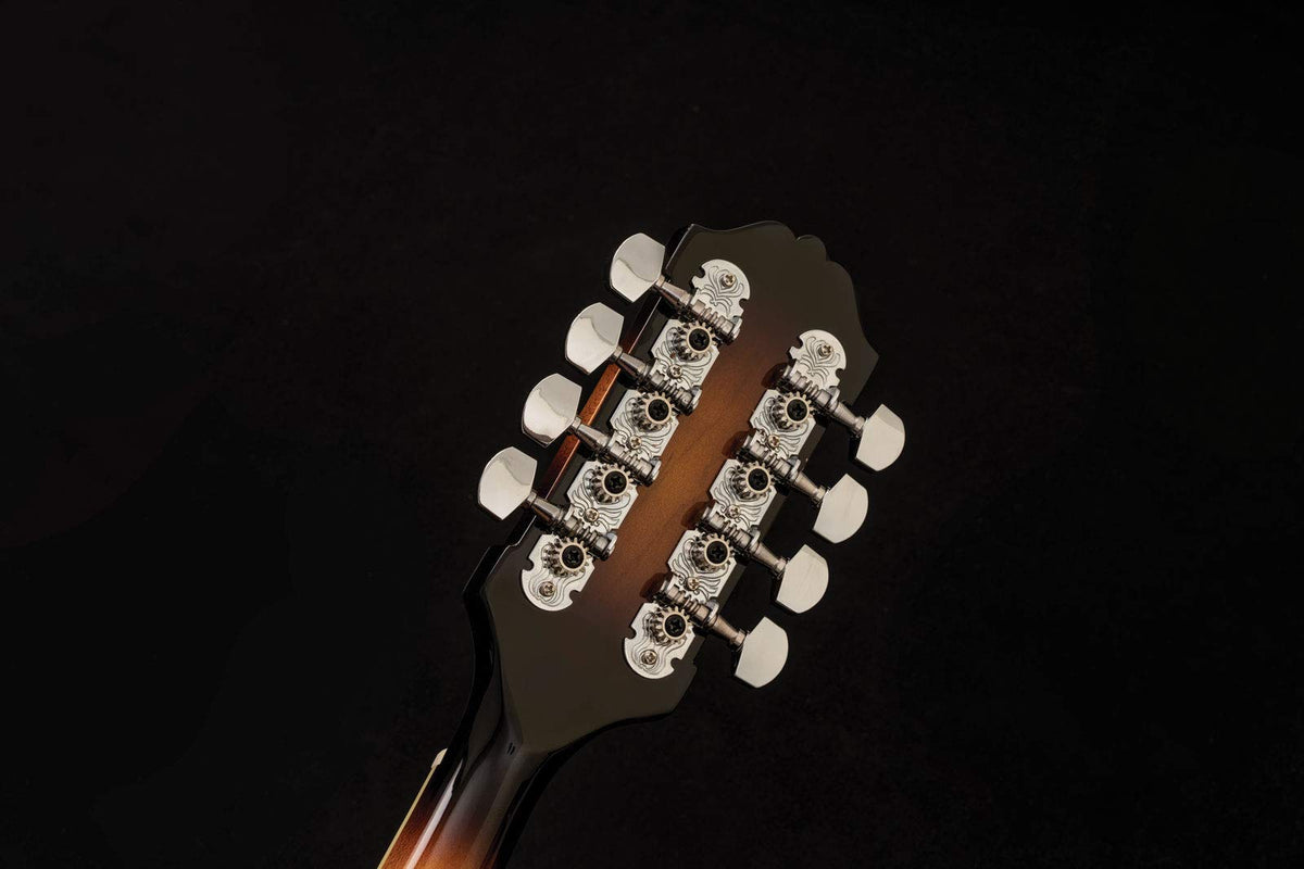 Mandolin P127530
