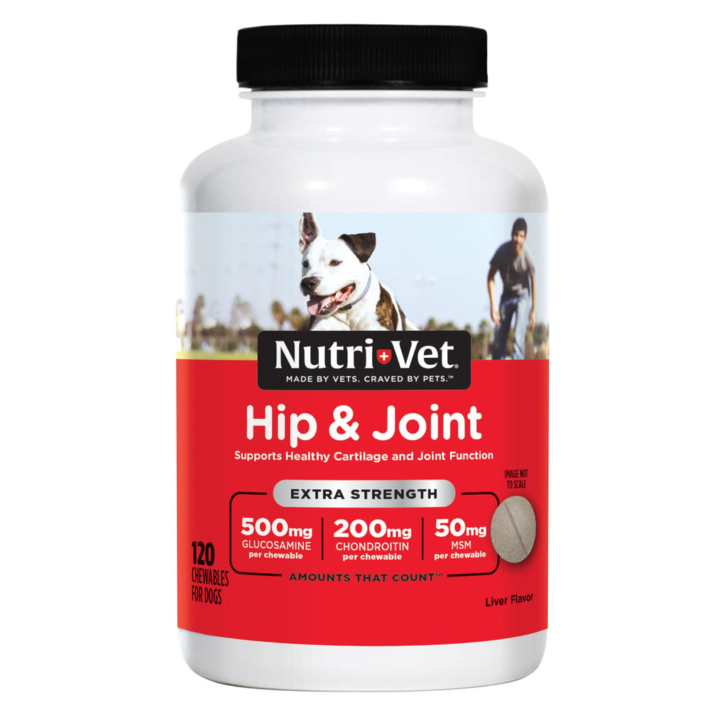 500mg Glucosamine Hip & Joint Supplement, 120 Ct F9138