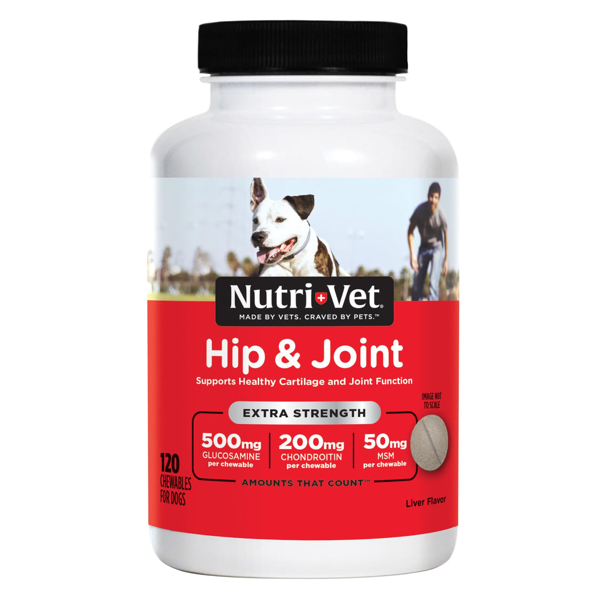 500mg Glucosamine Hip & Joint Supplement, 120 Ct F9138