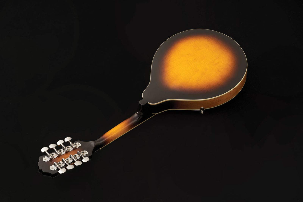 Mandolin P127530