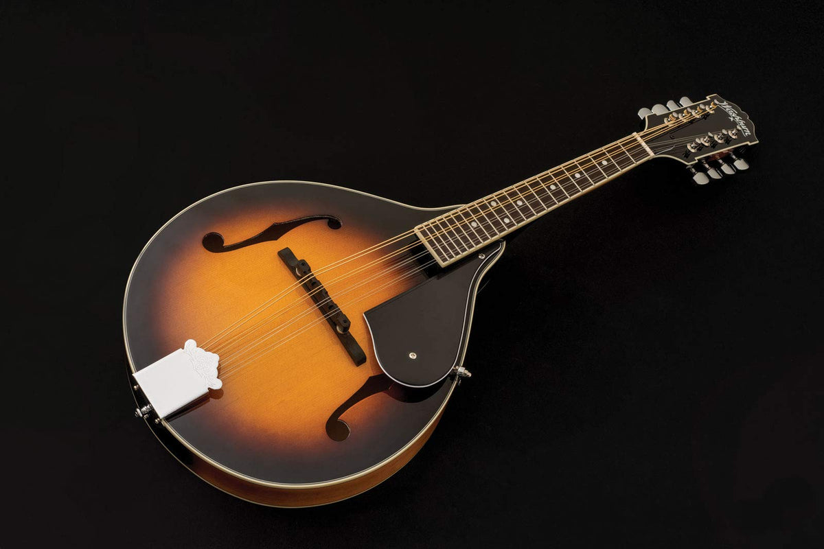 Mandolin P127530
