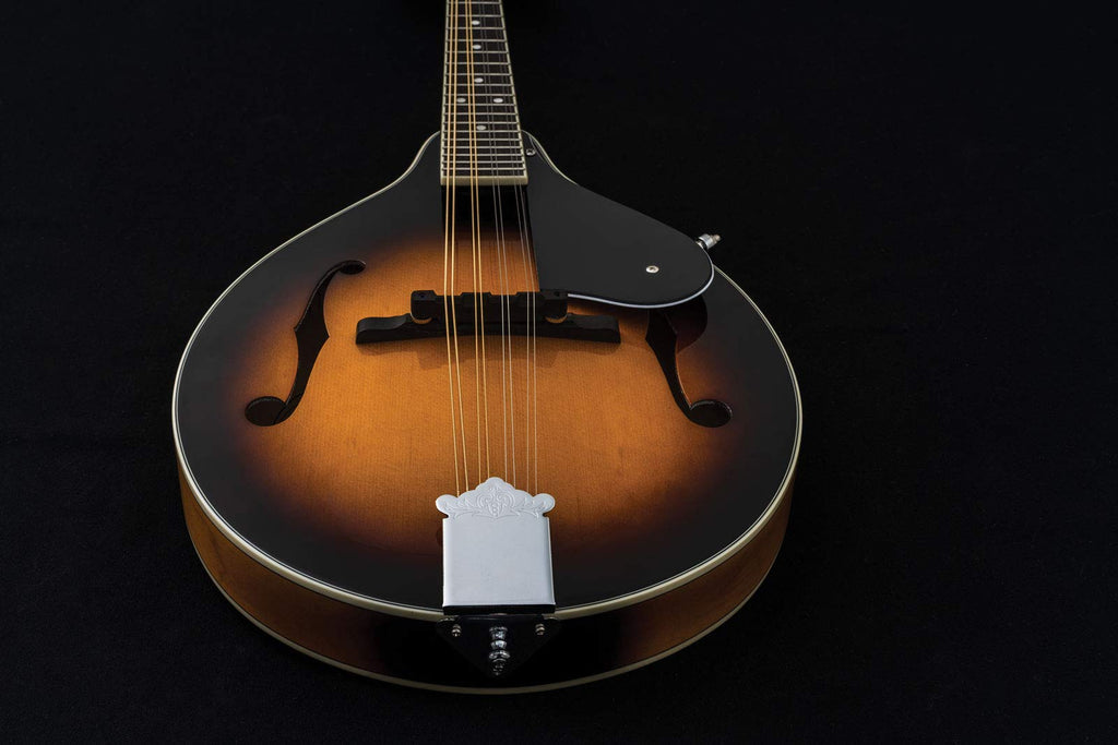 Mandolin P127530
