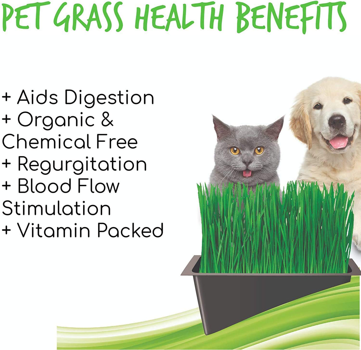 Organic Cat Grass Kit with Tray and Wheatgrass Seed O2809