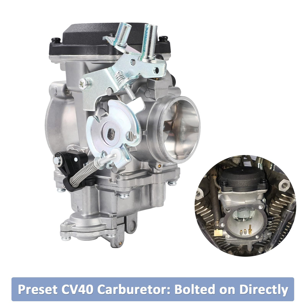 Carburetor & Air Filter Cleaner M91289