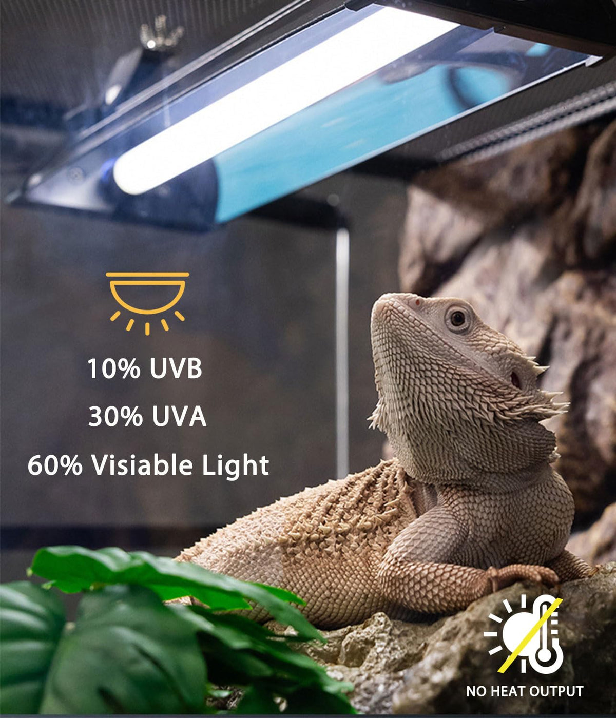 8W 12 Inch Switchable 10.0 & 5.0 UVB Reptile Light Fixture Combo Kit J51542