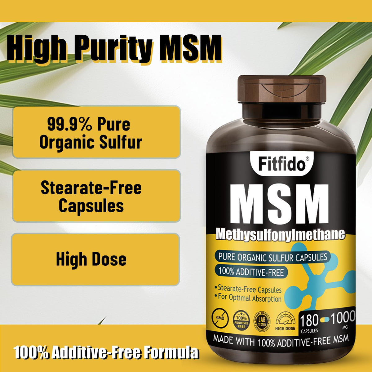 MSM Capsules 1000mg 180 Count E519649