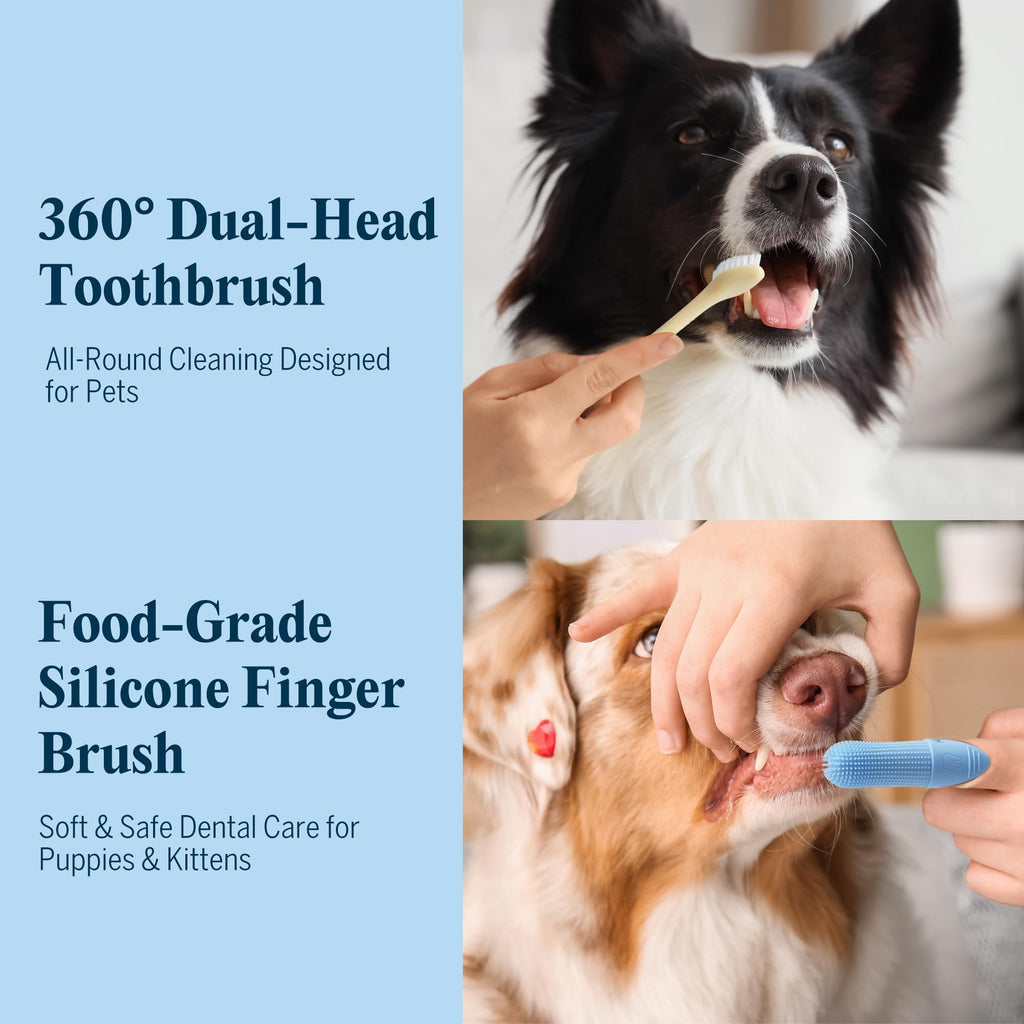 Dog Tooth Brushing Kit with 360° Toothbrush & Silicone Finger Brush Z522