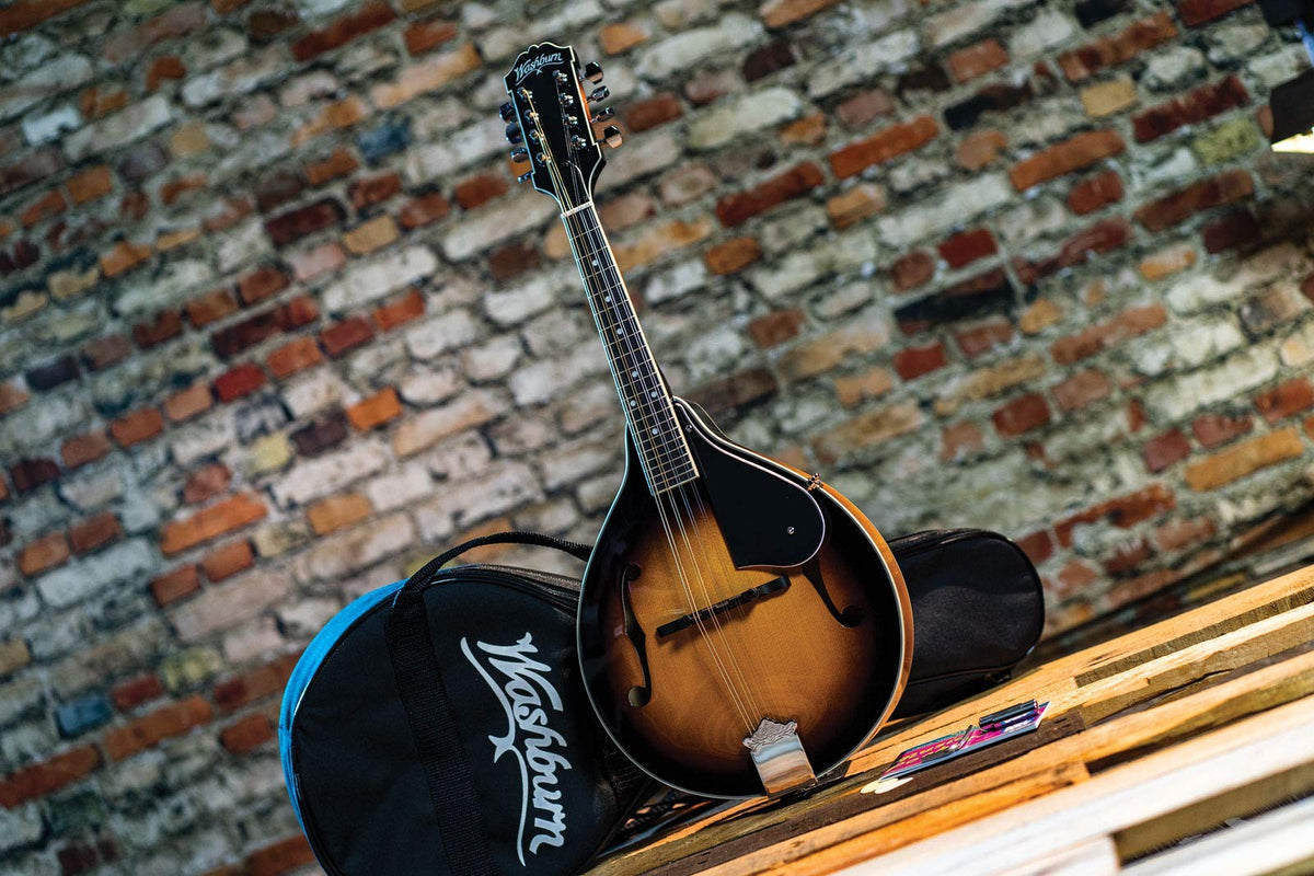 Mandolin P127530