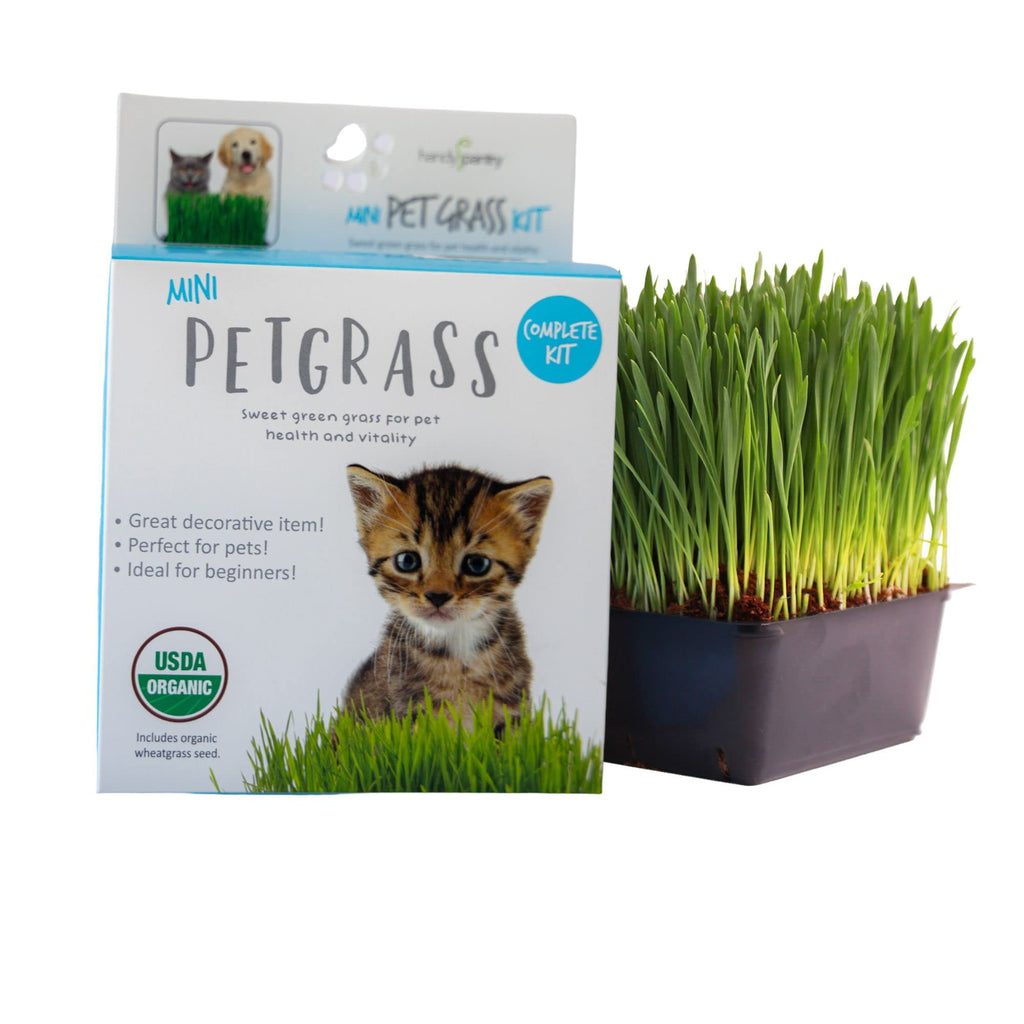 Organic Cat Grass Kit with Tray and Wheatgrass Seed O2809
