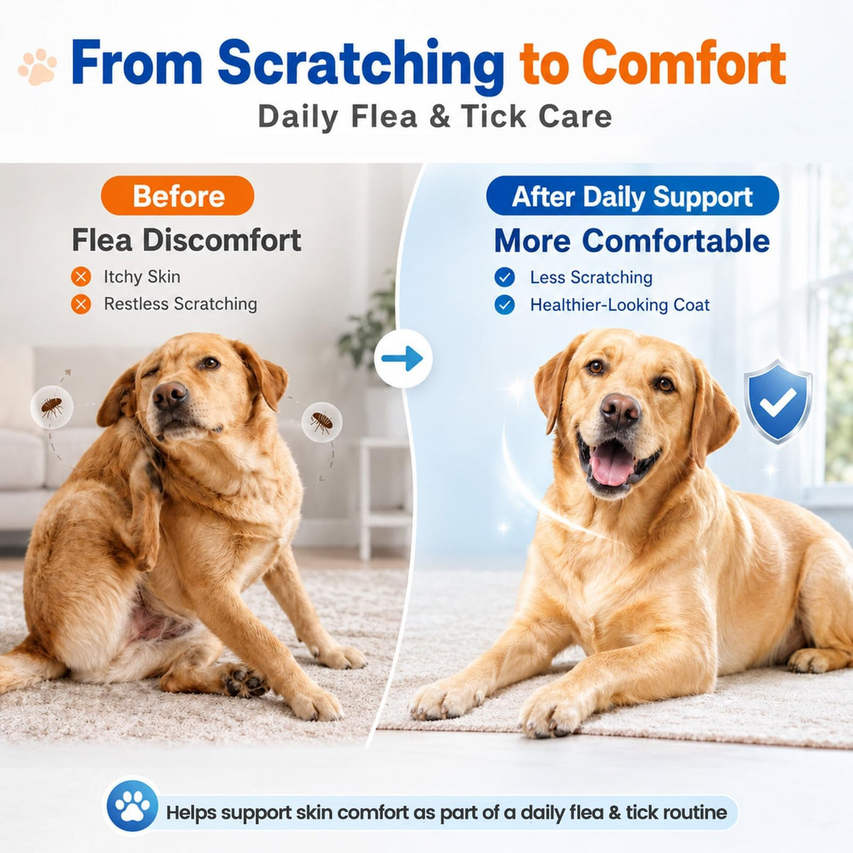 Flea and Tick Chews L169