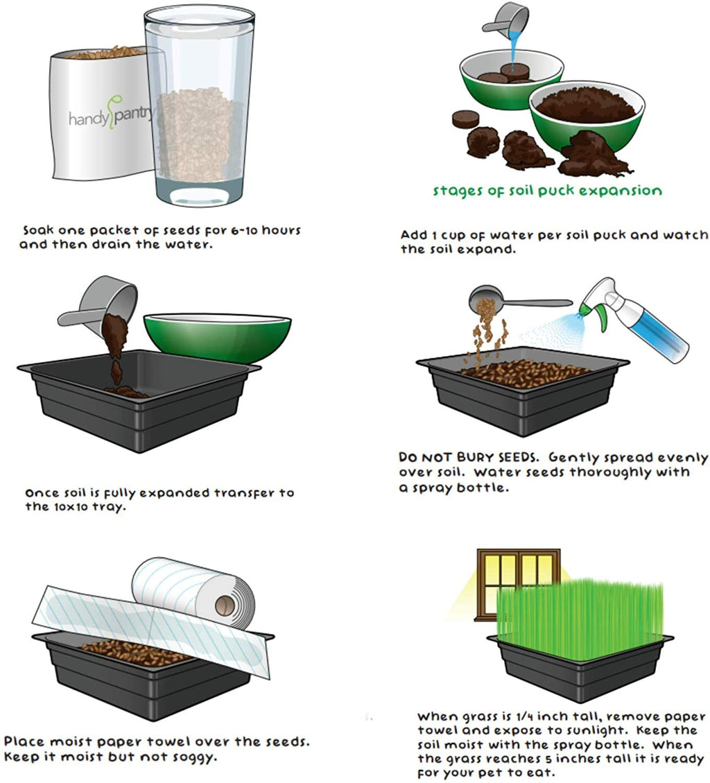 Organic Cat Grass Kit with Tray and Wheatgrass Seed O2809