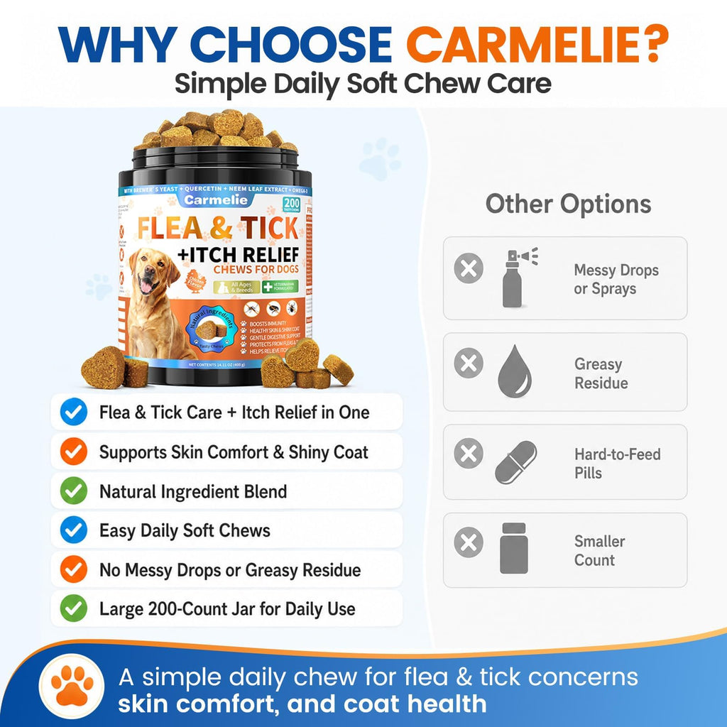 Flea and Tick Chews L169