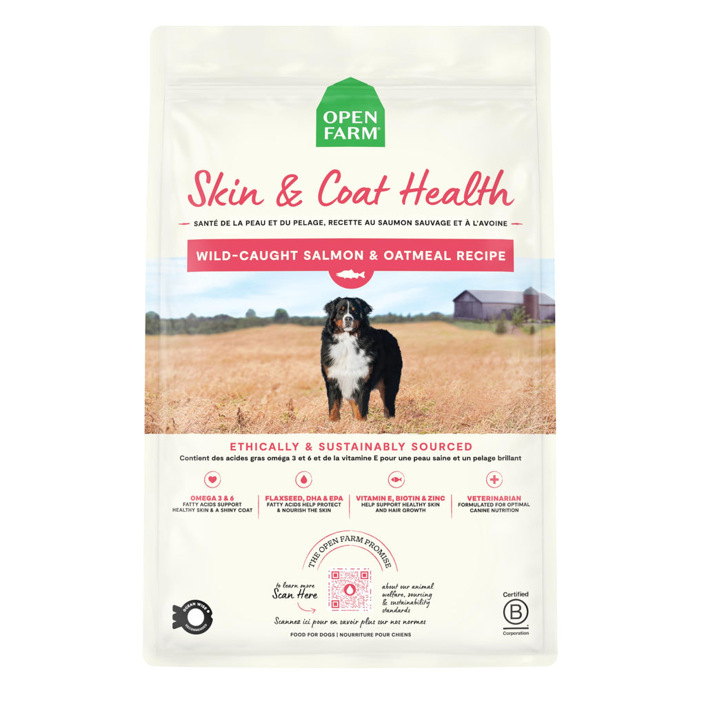 Salmon & Oatmeal Dry Dog Food 4lb Bag K68211
