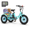 16 Inch Electric Tricycle X80686