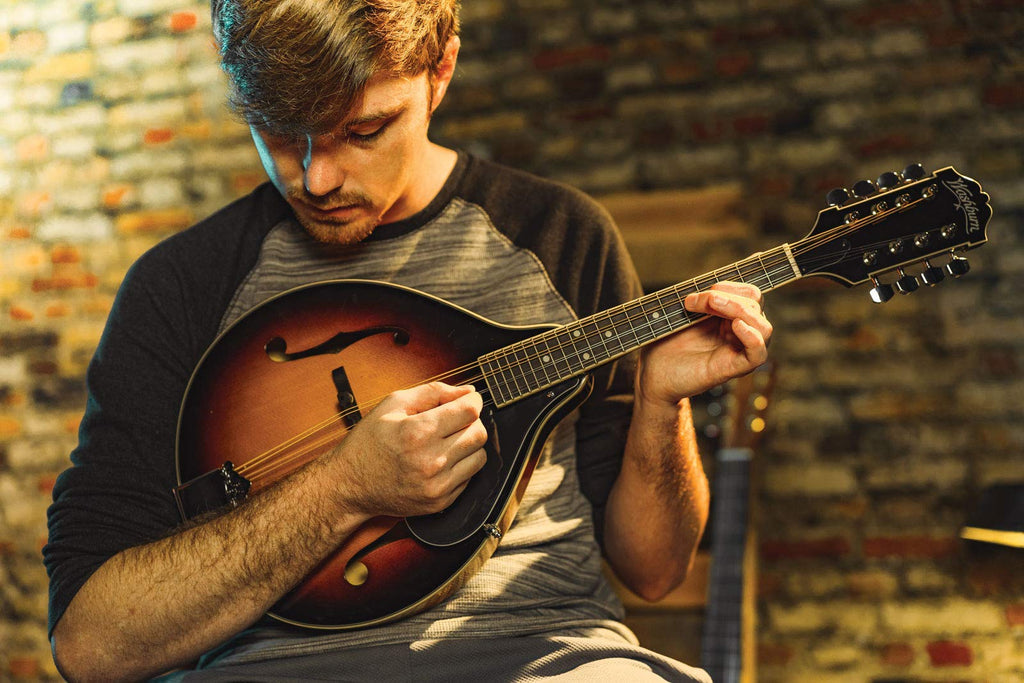 Mandolin P127530