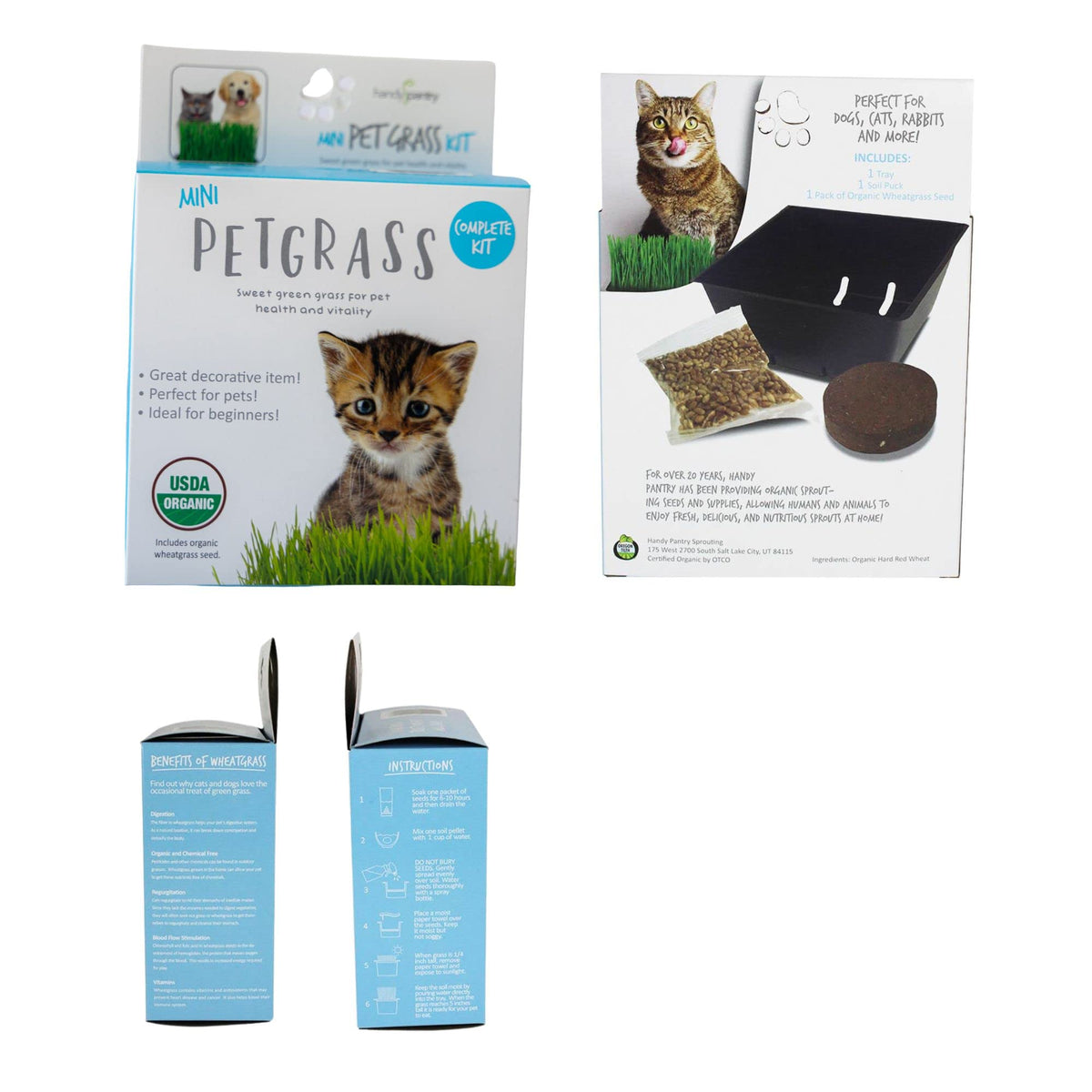 Organic Cat Grass Kit with Tray and Wheatgrass Seed O2809