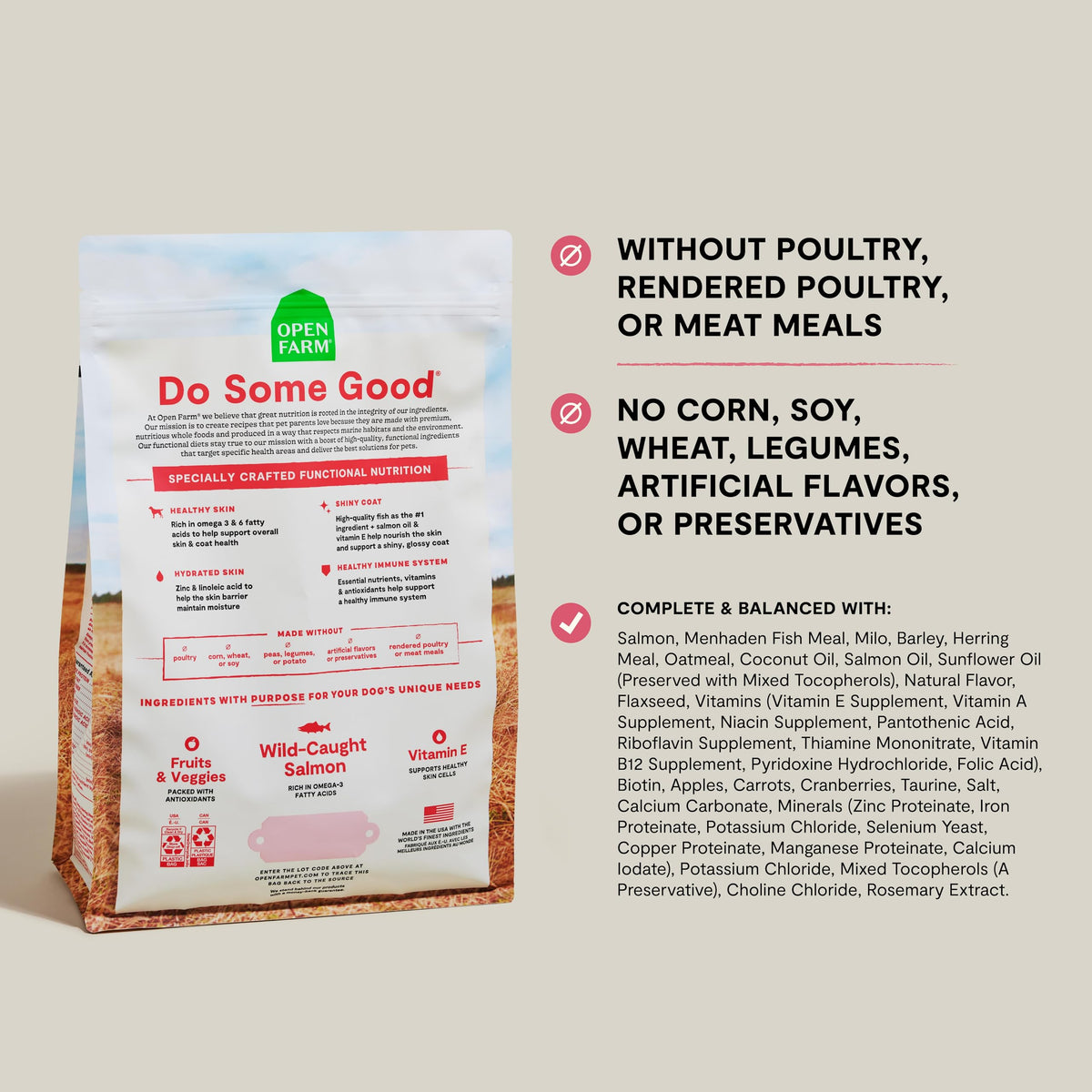 Salmon & Oatmeal Dry Dog Food 4lb Bag K68211