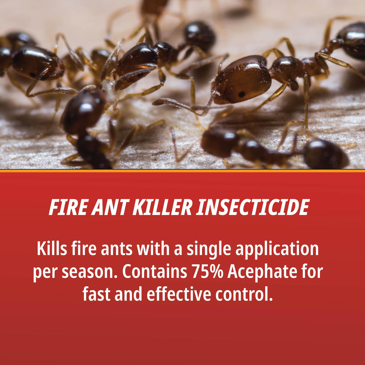 Fire Ant Killer P9744