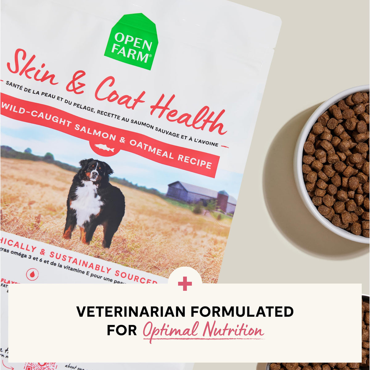 Salmon & Oatmeal Dry Dog Food 4lb Bag K68211