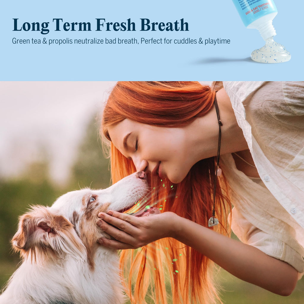 Dog Tooth Brushing Kit with 360° Toothbrush & Silicone Finger Brush Z522