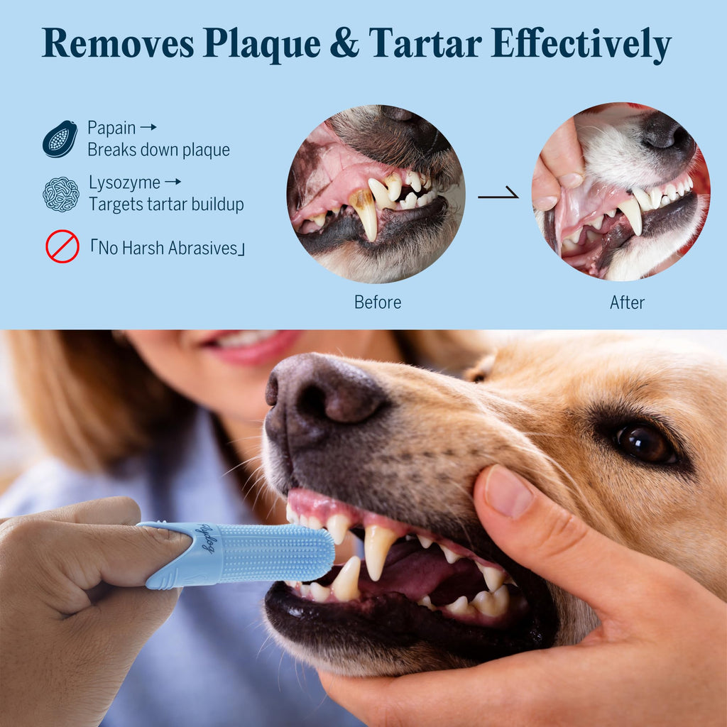 Dog Tooth Brushing Kit with 360° Toothbrush & Silicone Finger Brush Z522
