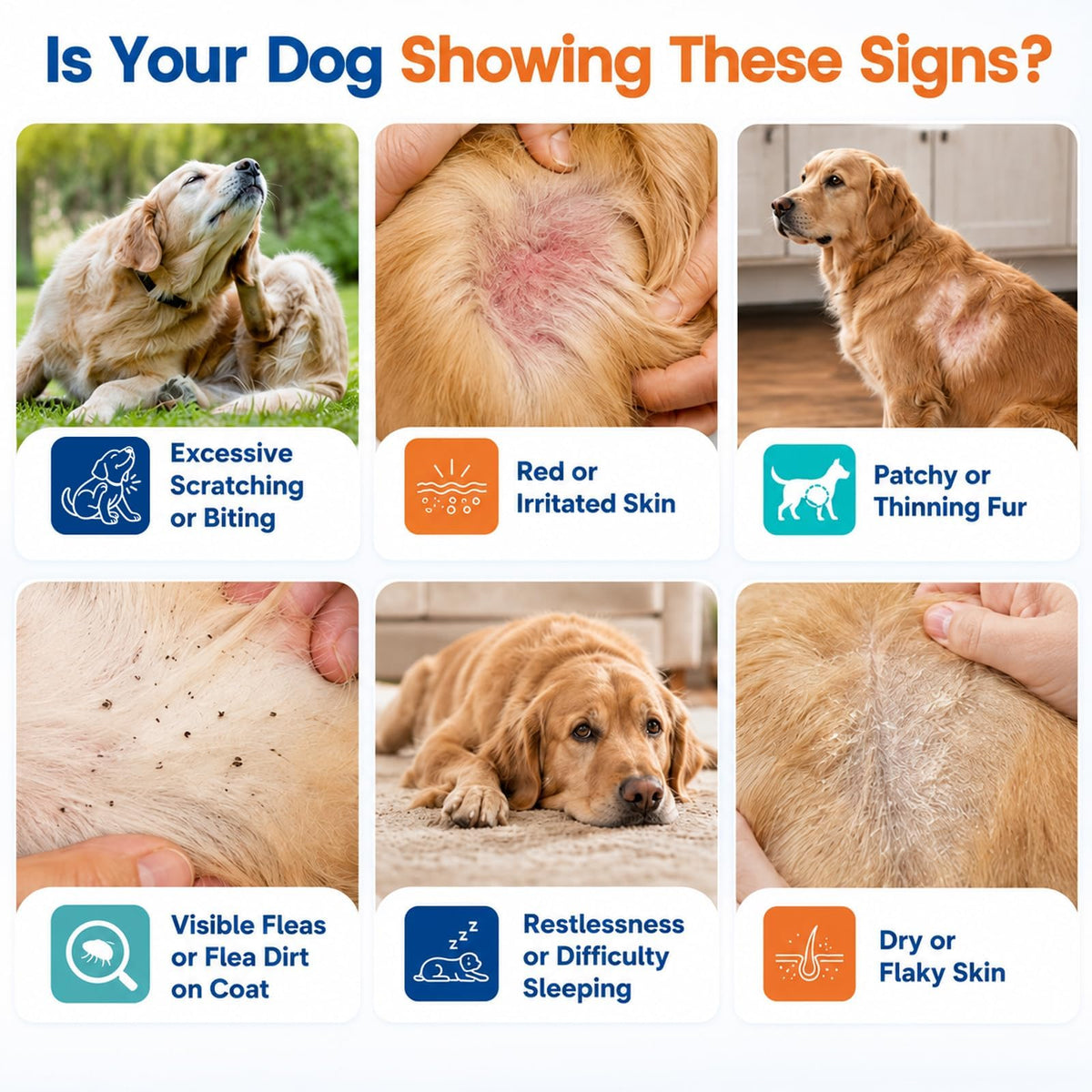 Flea and Tick Chews L169