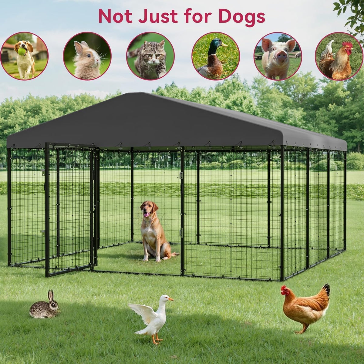 10x10x6 FT Galvanized Steel Dog Kennel with Roof L65342