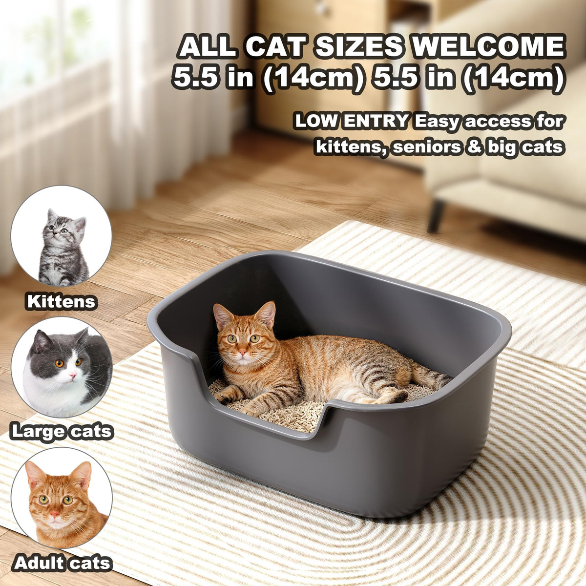 Large High Sides Cat Litter Box H98853
