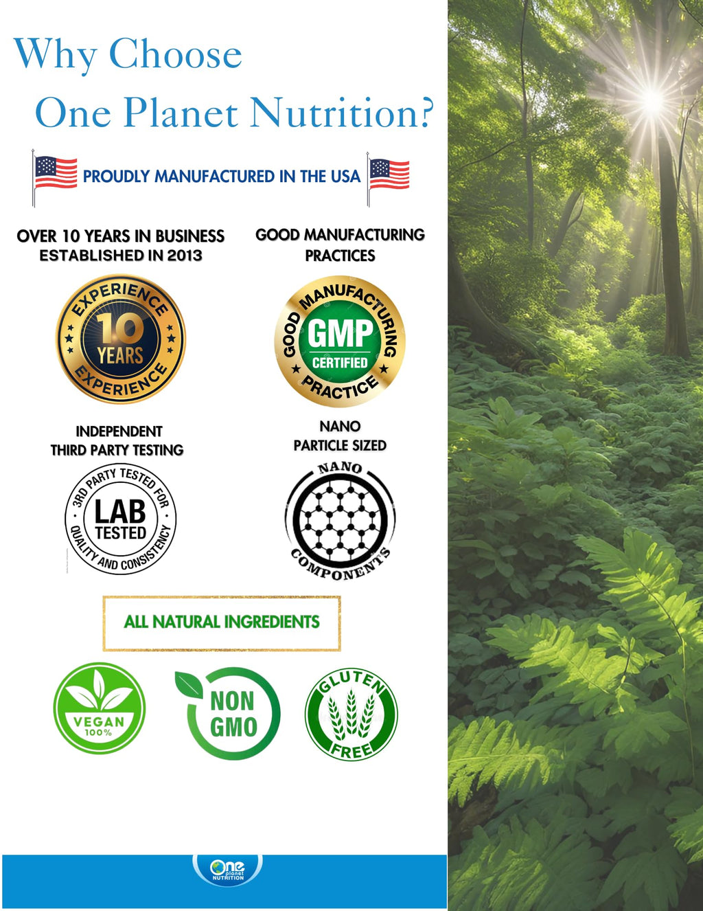 Moringa Capsules 500 mg 120 Count F12051