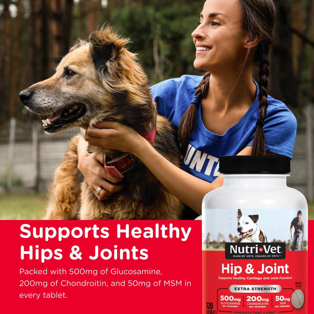 500mg Glucosamine Hip & Joint Supplement, 120 Ct F9138
