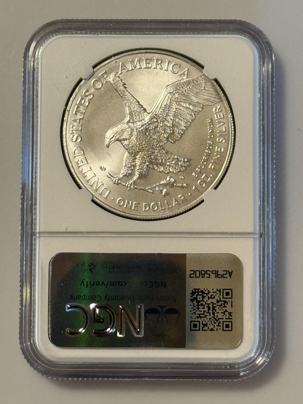 1 oz Silver Coin G934