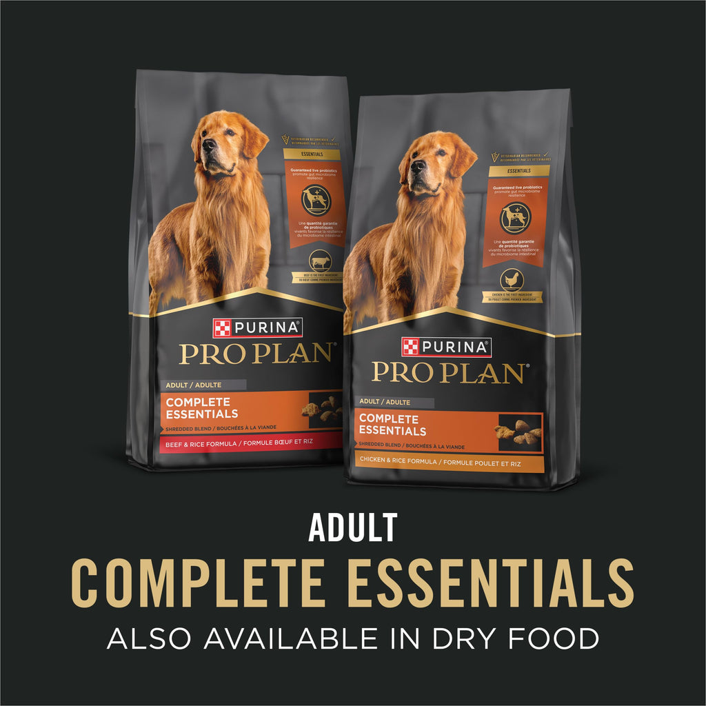 Wet Dog Food Variety Pack Chicken & Beef 12 13 oz Cans E468