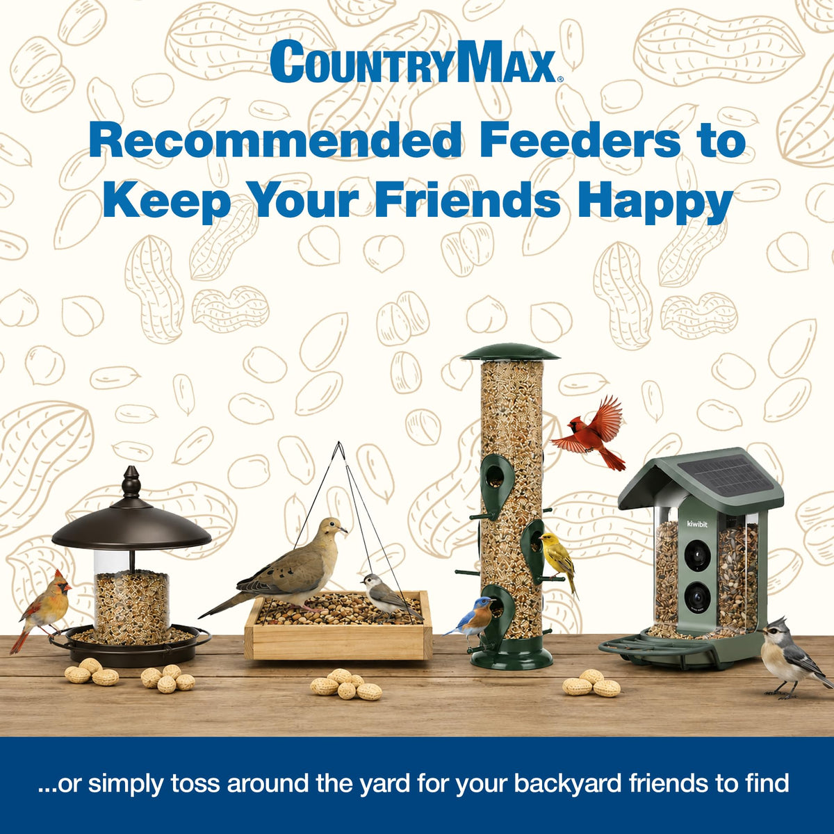 Backyard Seeds 20LB Finch & Small Songbird A39691