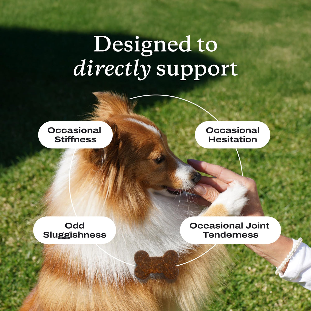 Joint Care Chews for Dogs, 30 Soft Chews, Pork B211