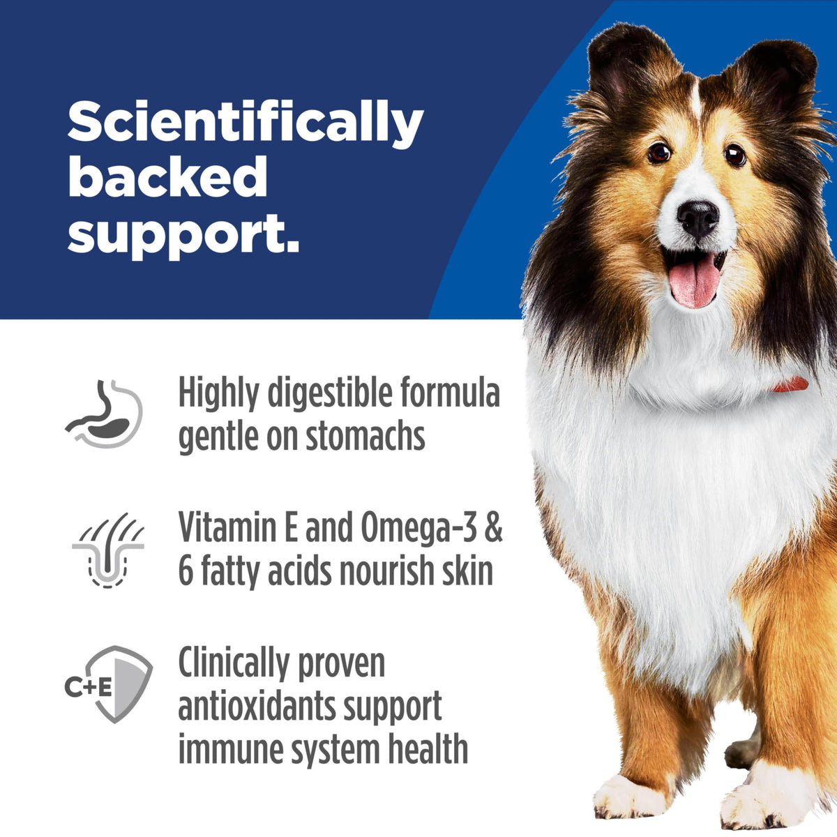 Sensitive Stomach & Skin Wet Dog Food O946