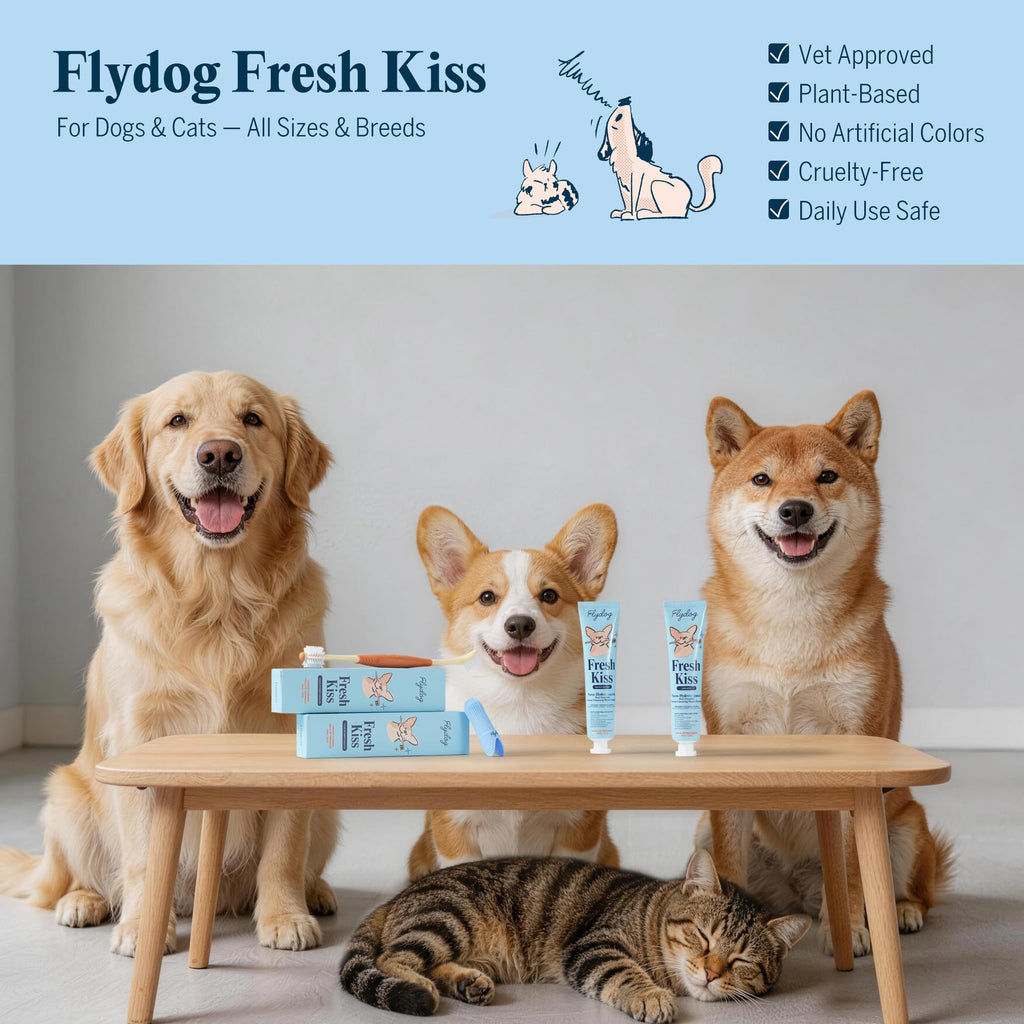 Dog Tooth Brushing Kit with 360° Toothbrush & Silicone Finger Brush Z522