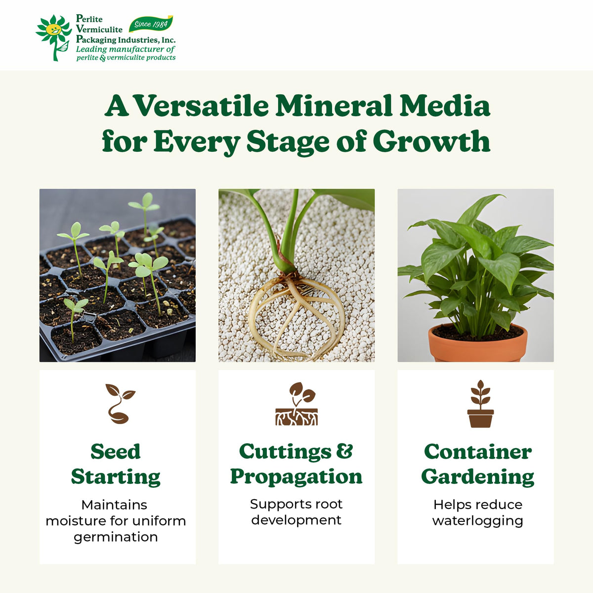 Horticultural Coarse Vermiculite Y70965
